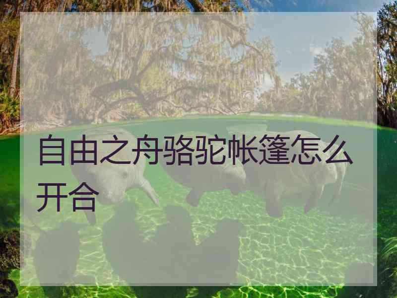 自由之舟骆驼帐篷怎么开合