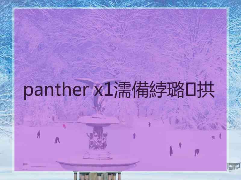 panther x1濡備綍璐拱