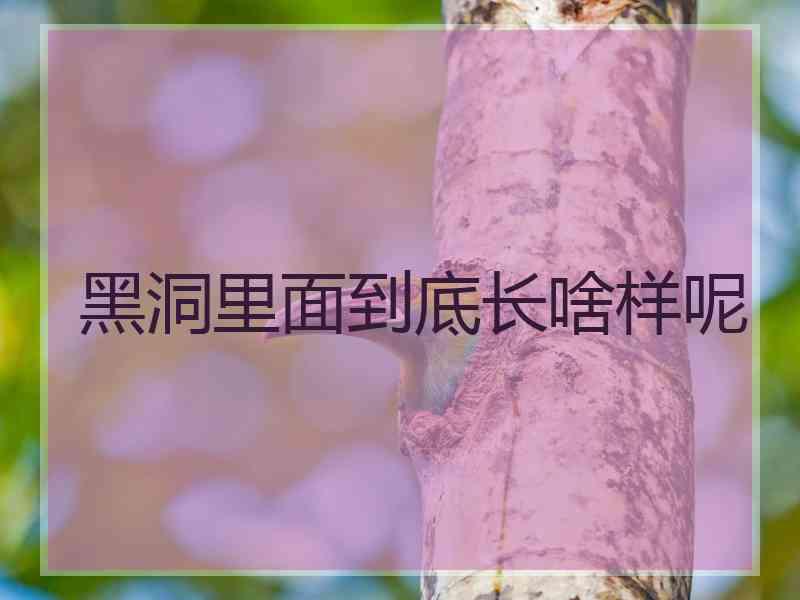 黑洞里面到底长啥样呢