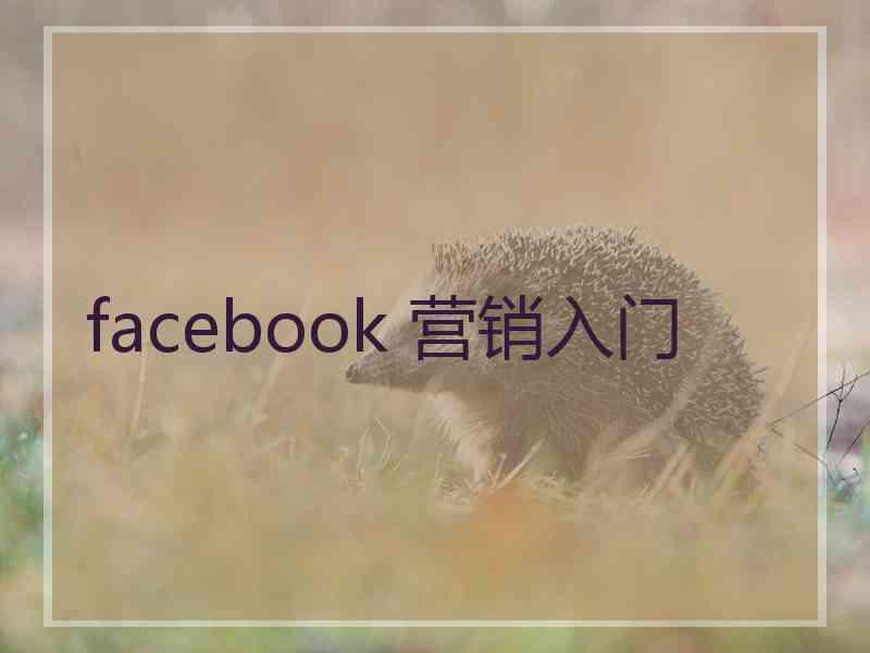 facebook 营销入门