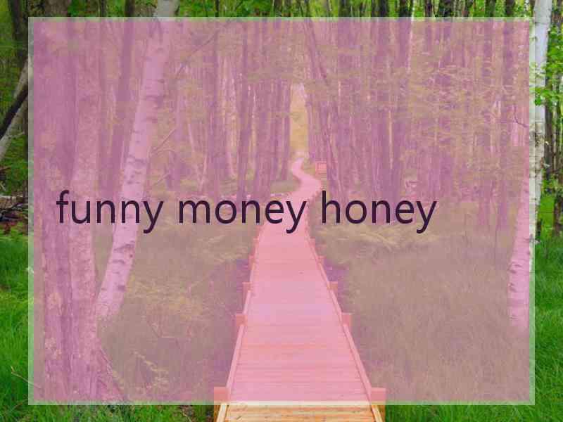 funny money honey