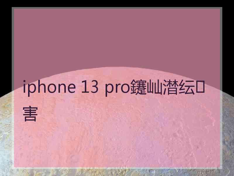 iphone 13 pro鑳屾澘纭害