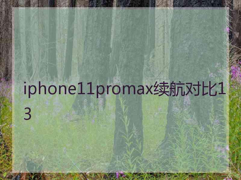 iphone11promax续航对比13