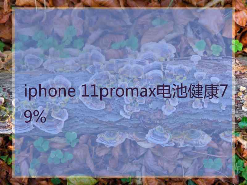 iphone 11promax电池健康79%