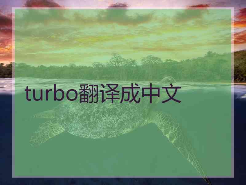 turbo翻译成中文