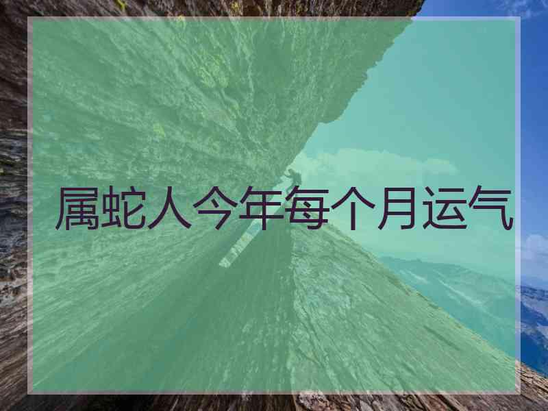 属蛇人今年每个月运气