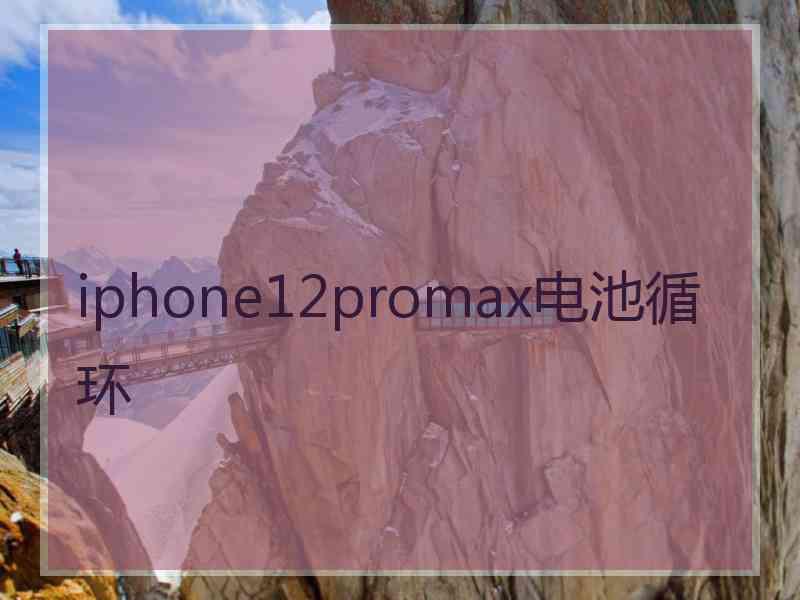 iphone12promax电池循环