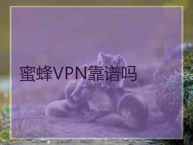 蜜蜂VPN靠谱吗