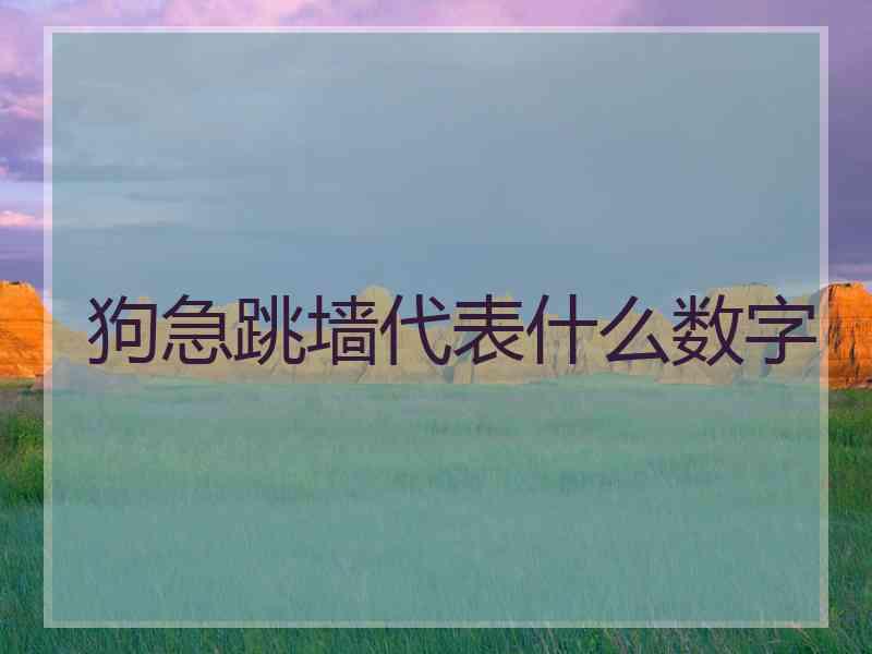 狗急跳墙代表什么数字