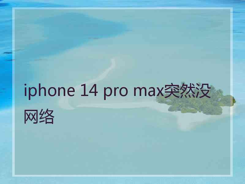 iphone 14 pro max突然没网络