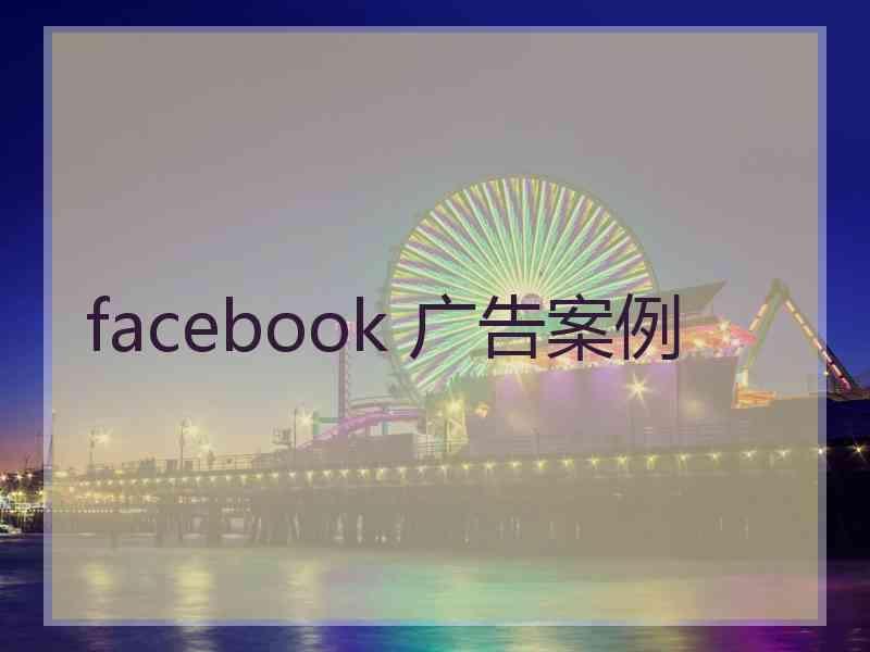 facebook 广告案例