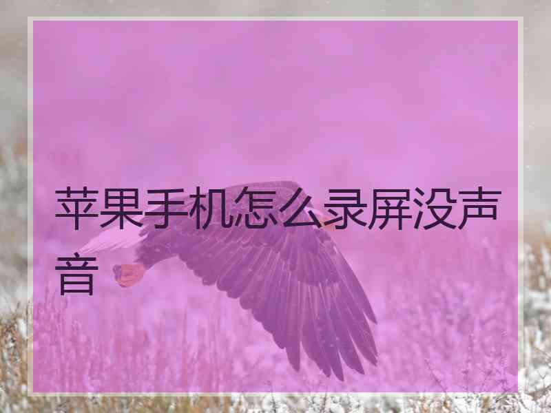 苹果手机怎么录屏没声音