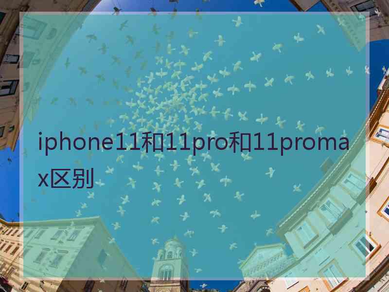 iphone11和11pro和11promax区别