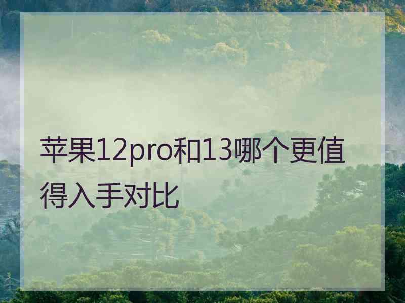 苹果12pro和13哪个更值得入手对比