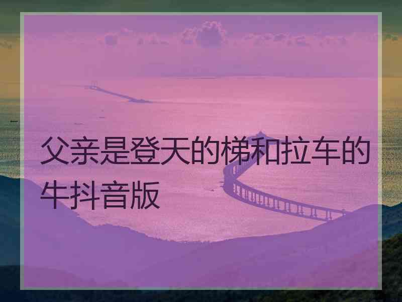 父亲是登天的梯和拉车的牛抖音版