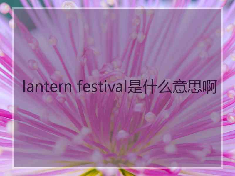 lantern festival是什么意思啊