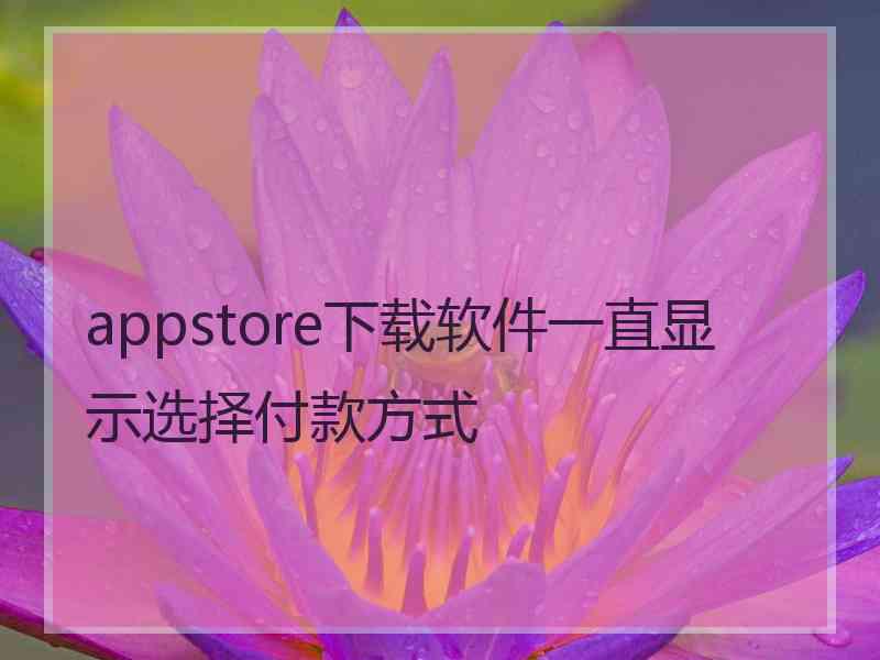 appstore下载软件一直显示选择付款方式