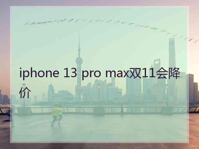 iphone 13 pro max双11会降价