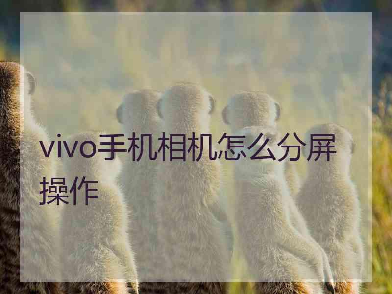 vivo手机相机怎么分屏操作