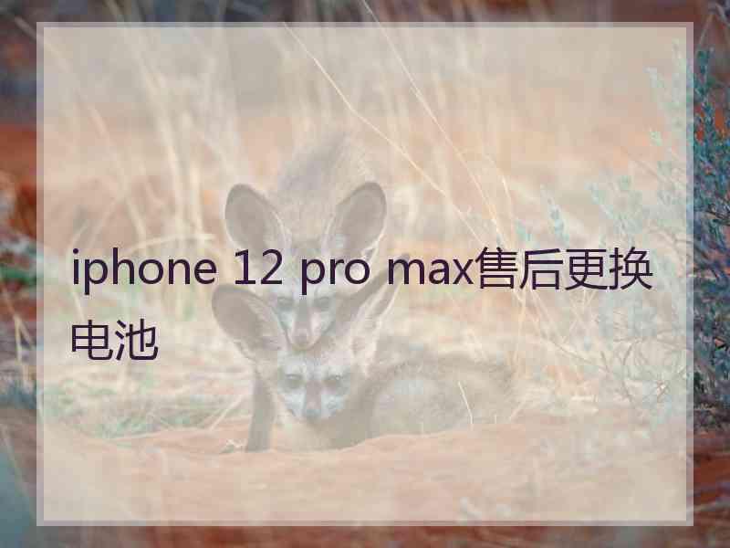 iphone 12 pro max售后更换电池