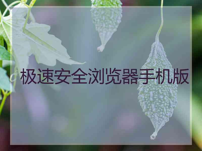 极速安全浏览器手机版