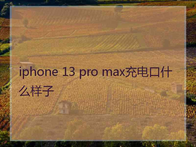 iphone 13 pro max充电口什么样子