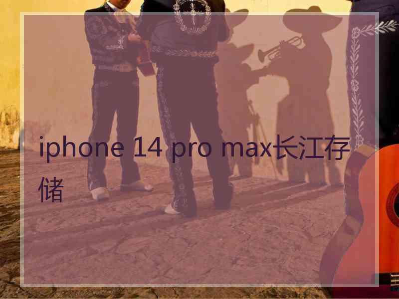 iphone 14 pro max长江存储