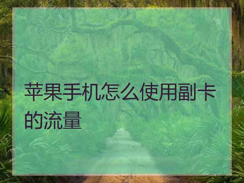 苹果手机怎么使用副卡的流量