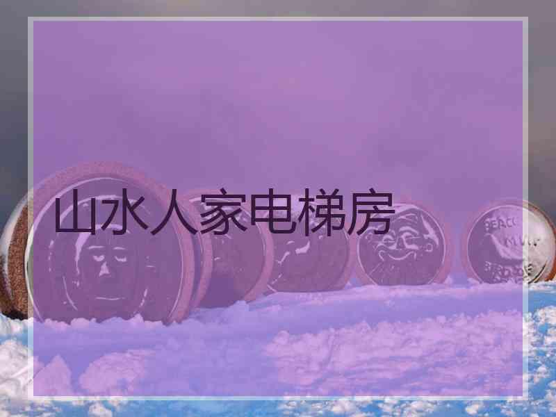 山水人家电梯房