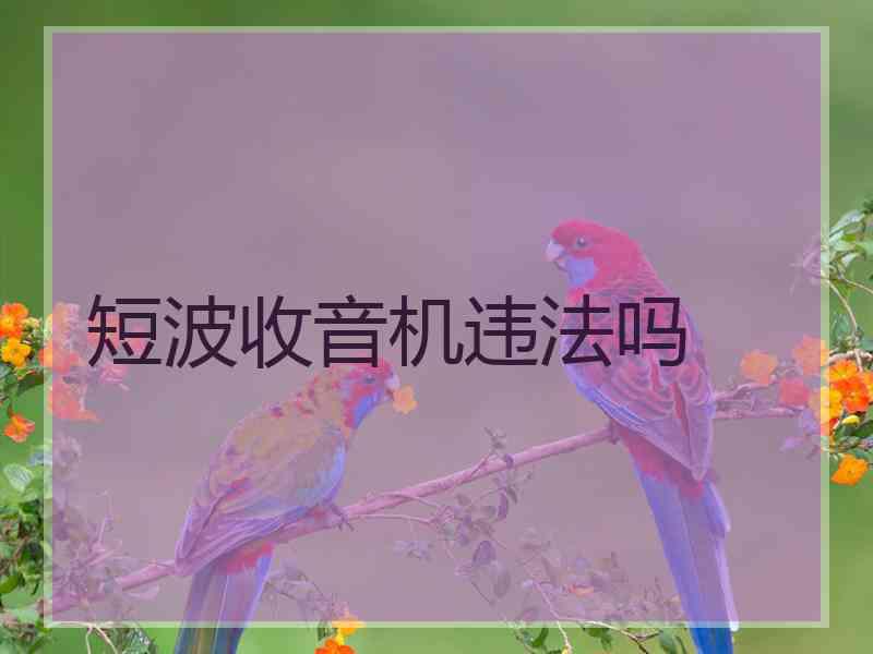 短波收音机违法吗