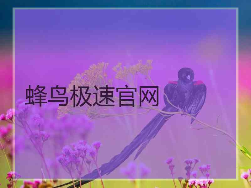 蜂鸟极速官网