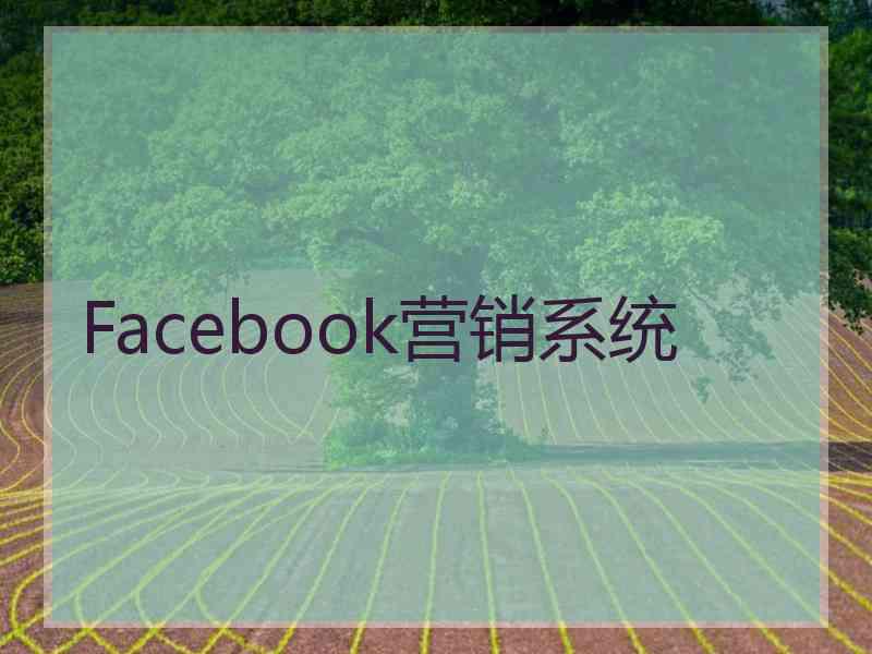 Facebook营销系统