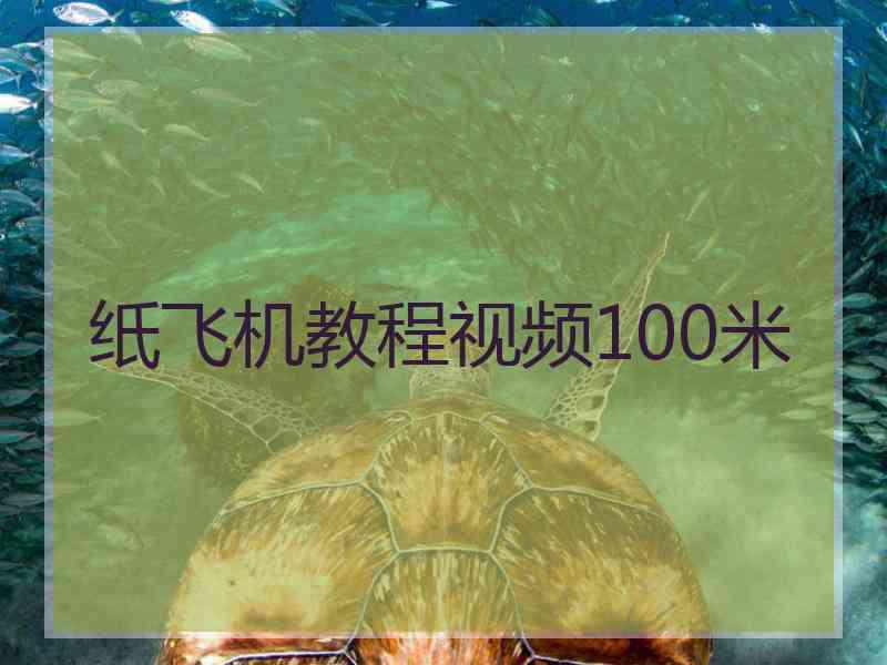 纸飞机教程视频100米