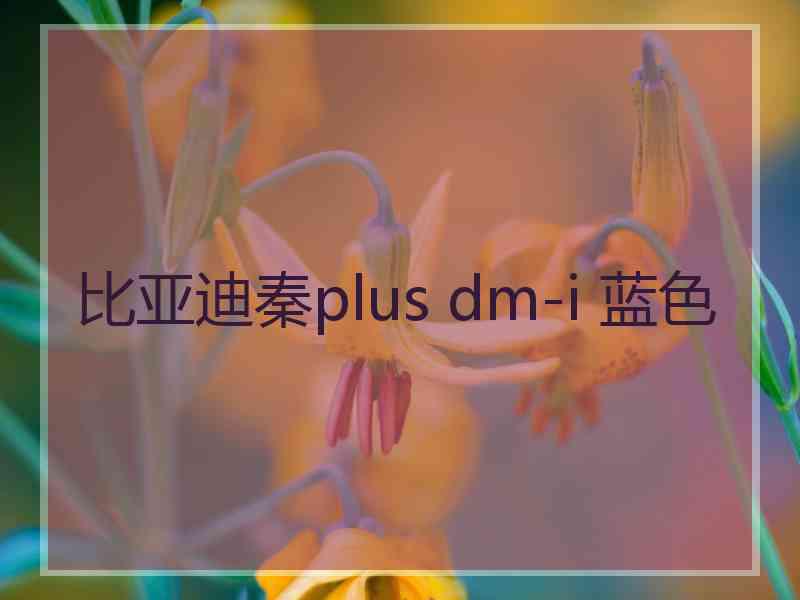 比亚迪秦plus dm-i 蓝色