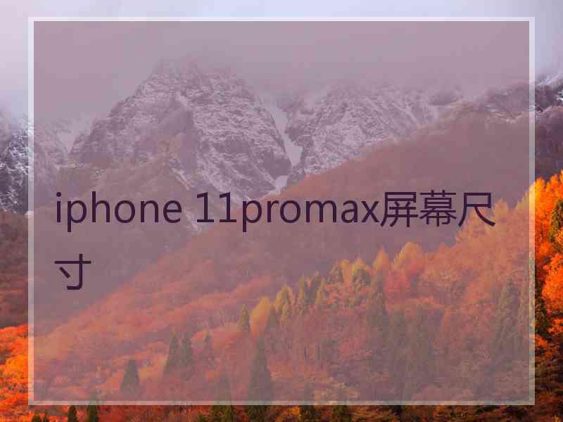 iphone 11promax屏幕尺寸