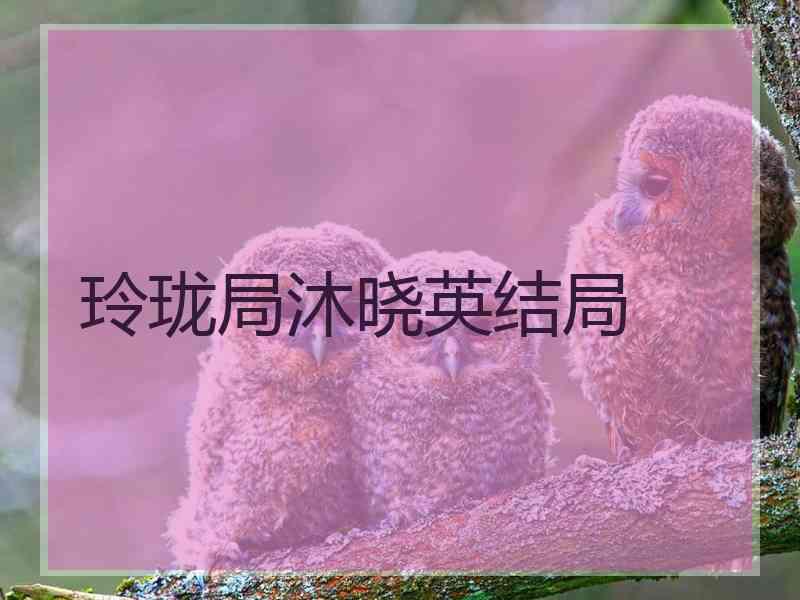 玲珑局沐晓英结局