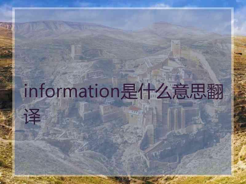 information是什么意思翻译