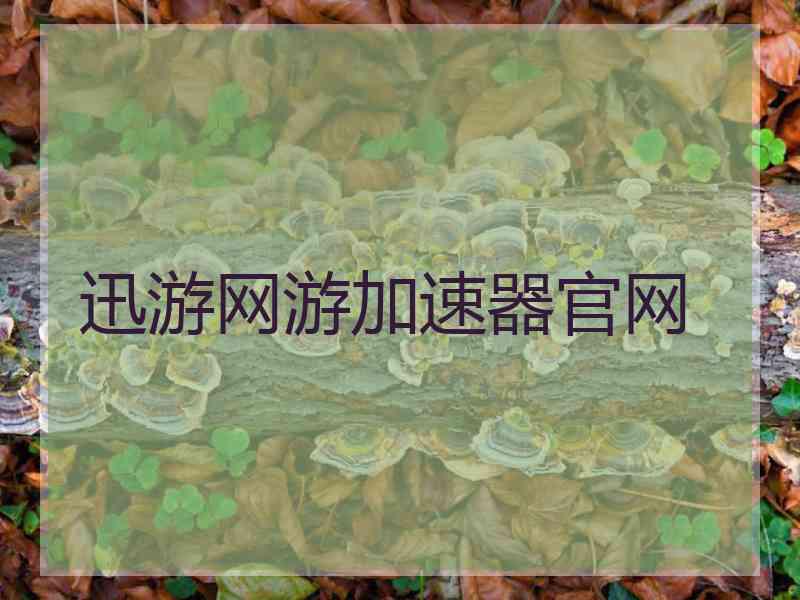 迅游网游加速器官网