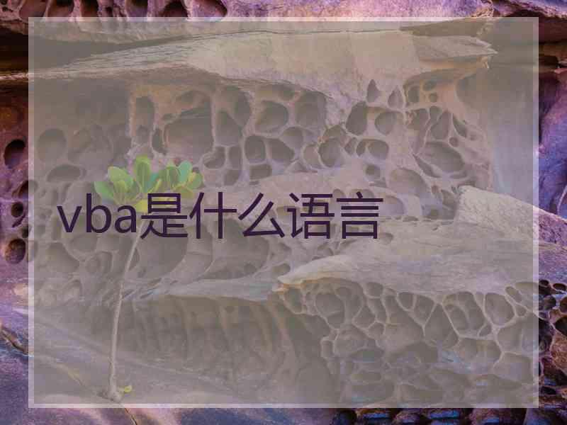 vba是什么语言