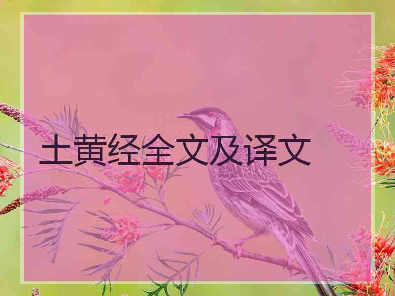 土黄经全文及译文