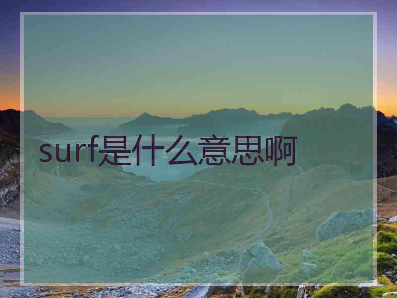 surf是什么意思啊