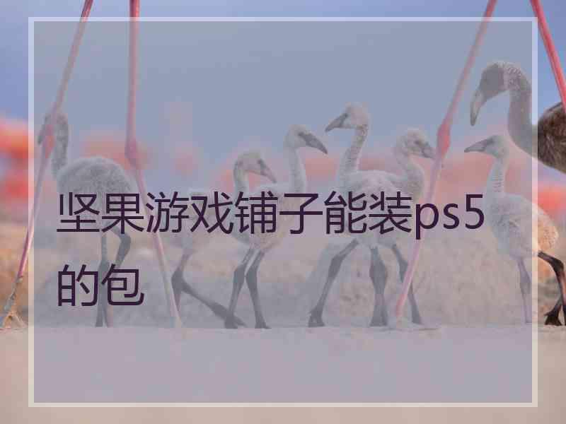 坚果游戏铺子能装ps5的包