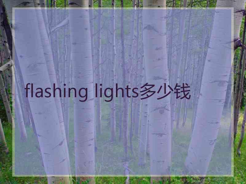 flashing lights多少钱