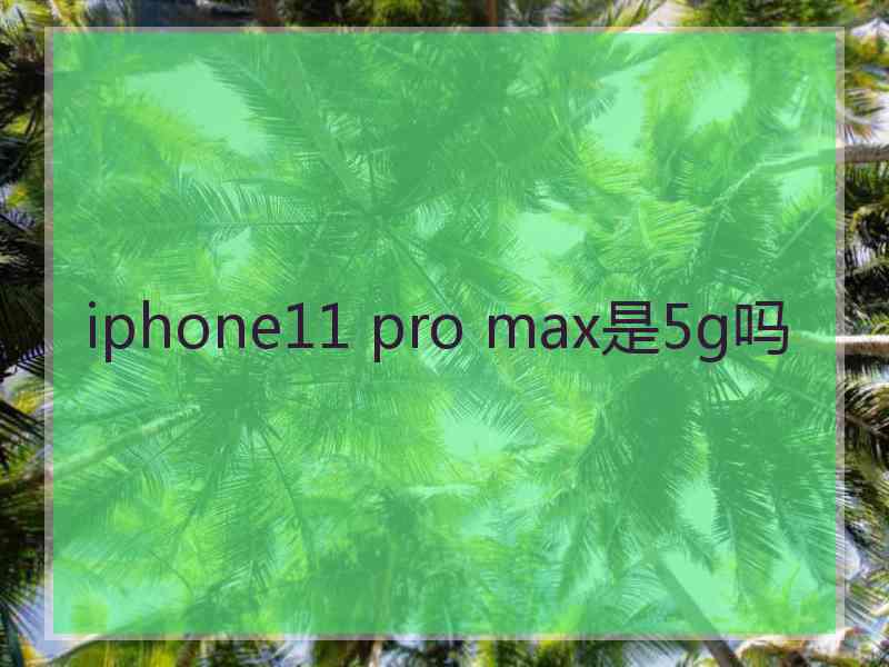 iphone11 pro max是5g吗