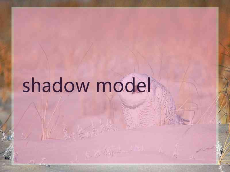 shadow model