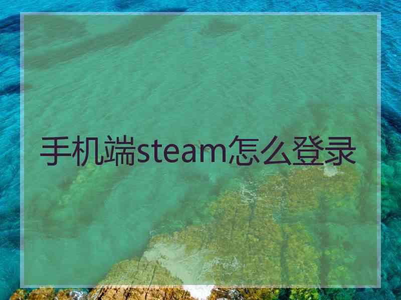 手机端steam怎么登录