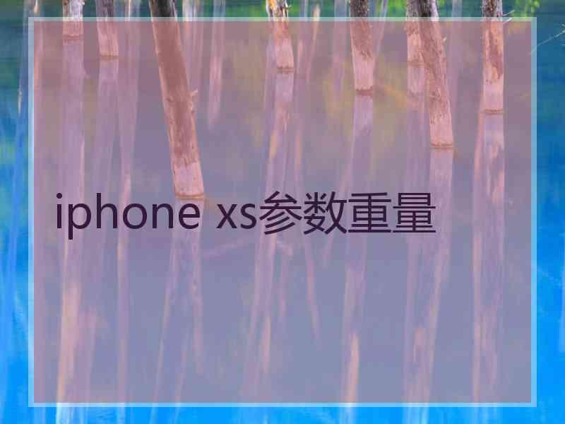 iphone xs参数重量