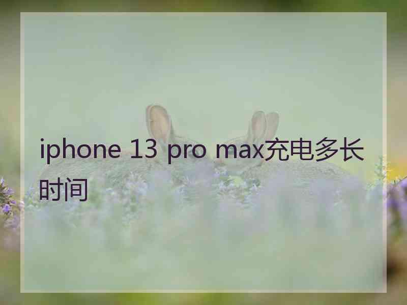 iphone 13 pro max充电多长时间