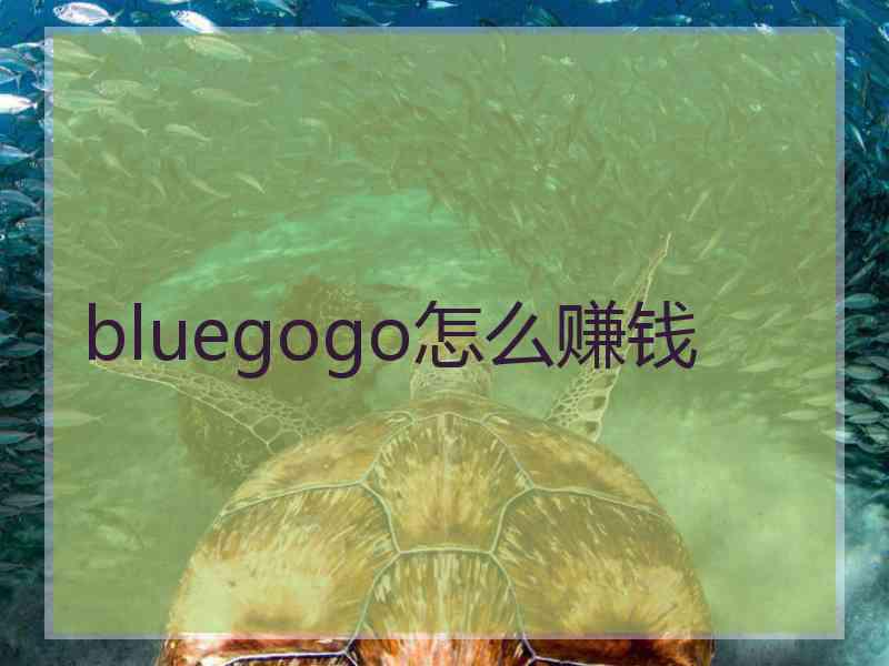 bluegogo怎么赚钱