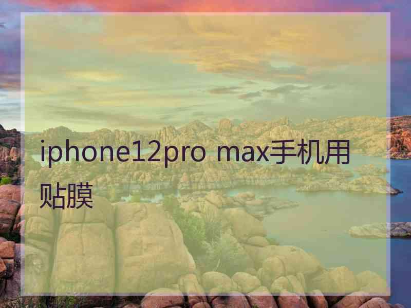 iphone12pro max手机用贴膜